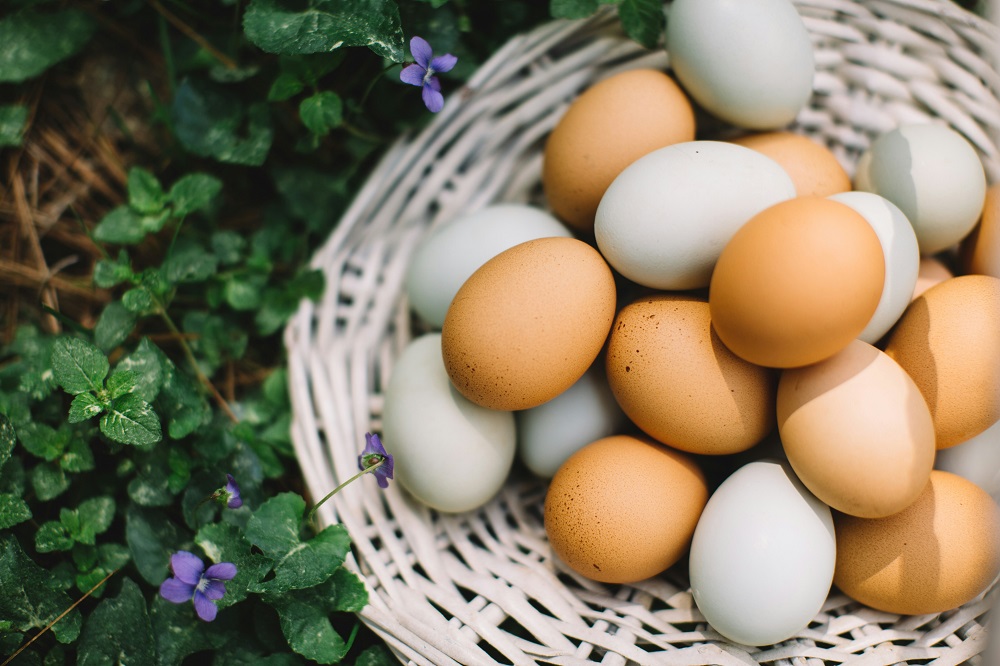Koja jaja su zdravija bela ili braon