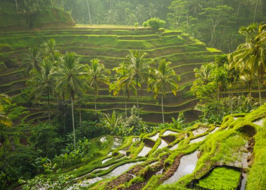 Vodič za Ubud