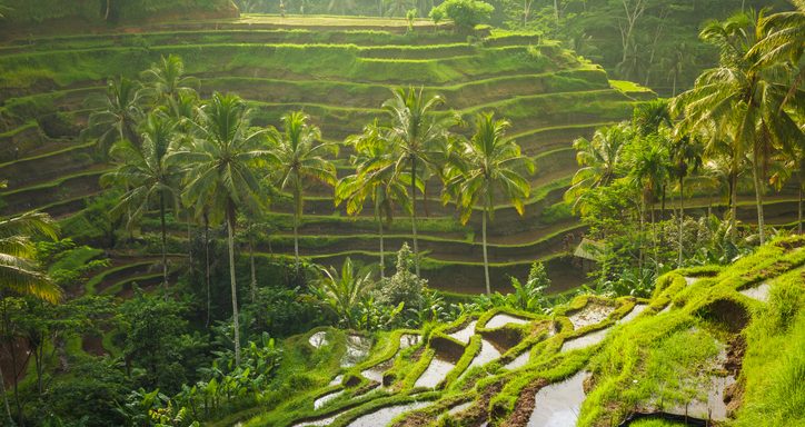 Vodič za Ubud