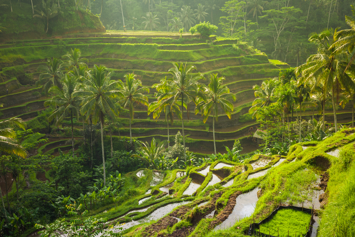 Vodič za Ubud