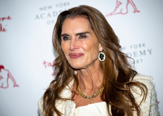 kuhinja brooke shields, elegantna kuhinja, uređenje doma