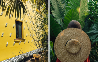 restoran ljubica dorcol beograd