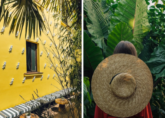 restoran ljubica dorcol beograd