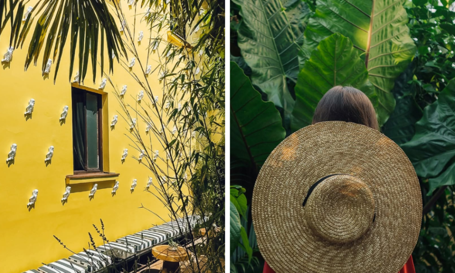 restoran ljubica dorcol beograd