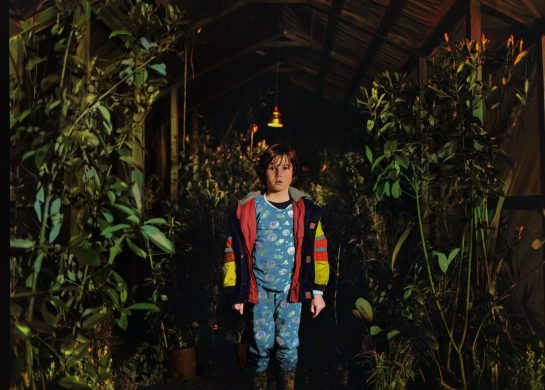 Sunce nikad više, David Jovanović, Oskar