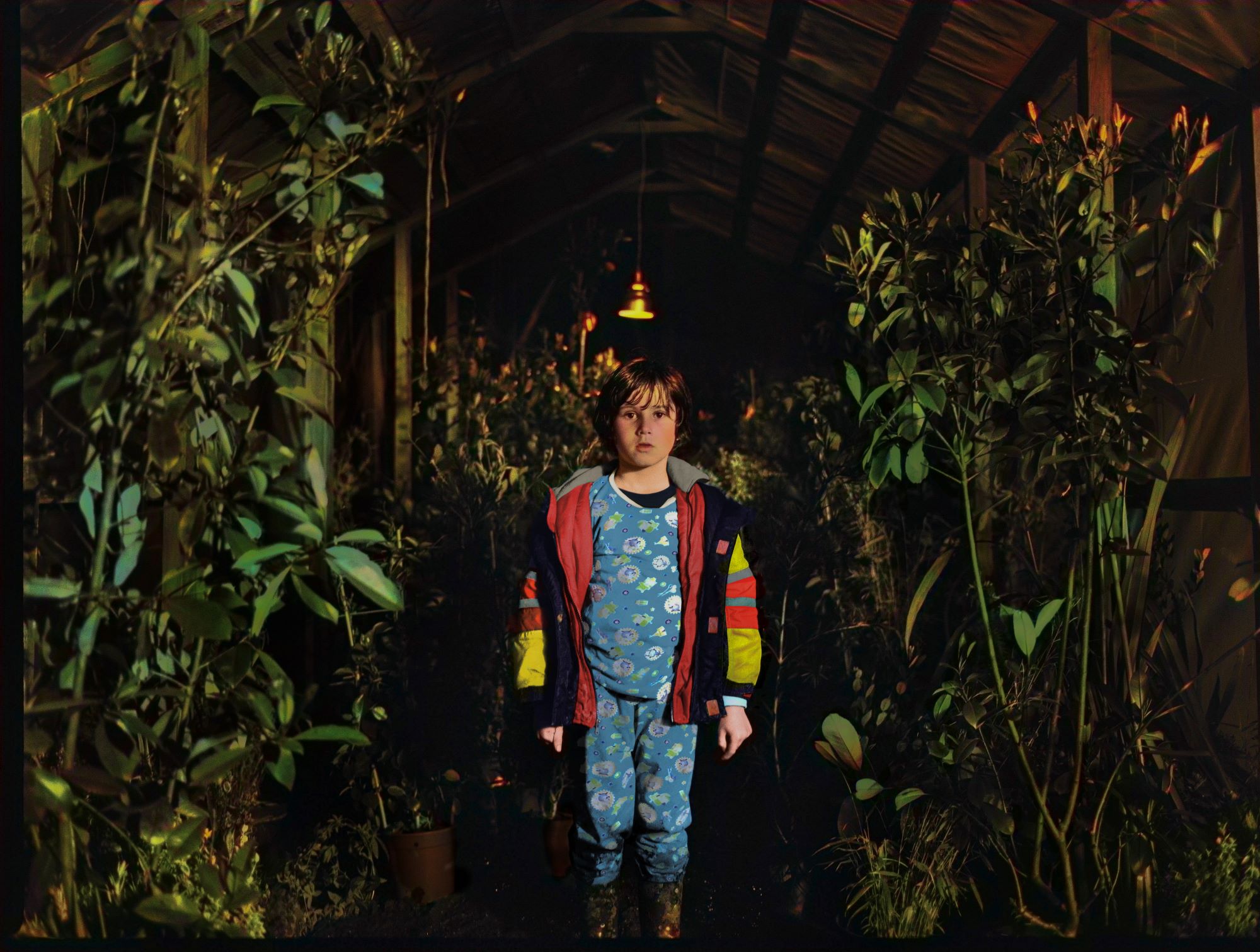 Sunce nikad više, David Jovanović, Oskar