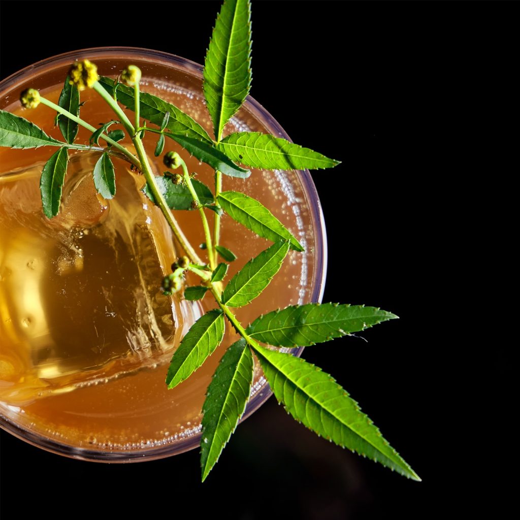 vodič kroz taipei, gde izaći, šta jesti