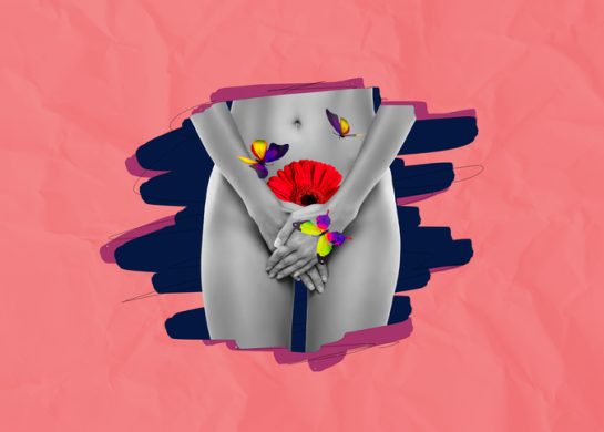 labioplastika, vulva, estetski standardi