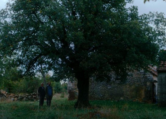 Kako je ovde tako zeleno