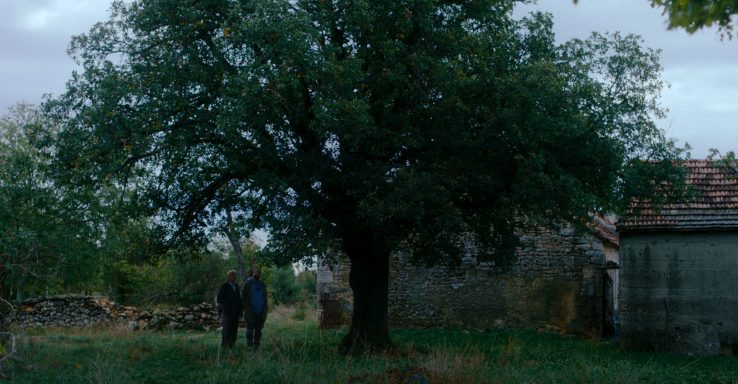 Kako je ovde tako zeleno