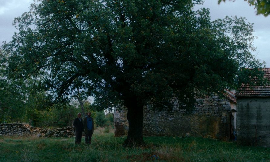 Kako je ovde tako zeleno