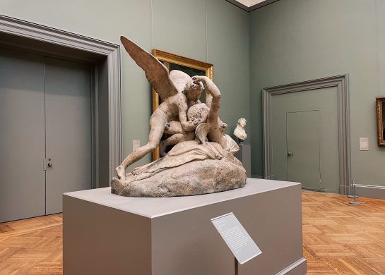 bird theory, teorija ptica