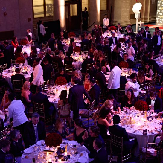 Srpsko filantropsko udruženje